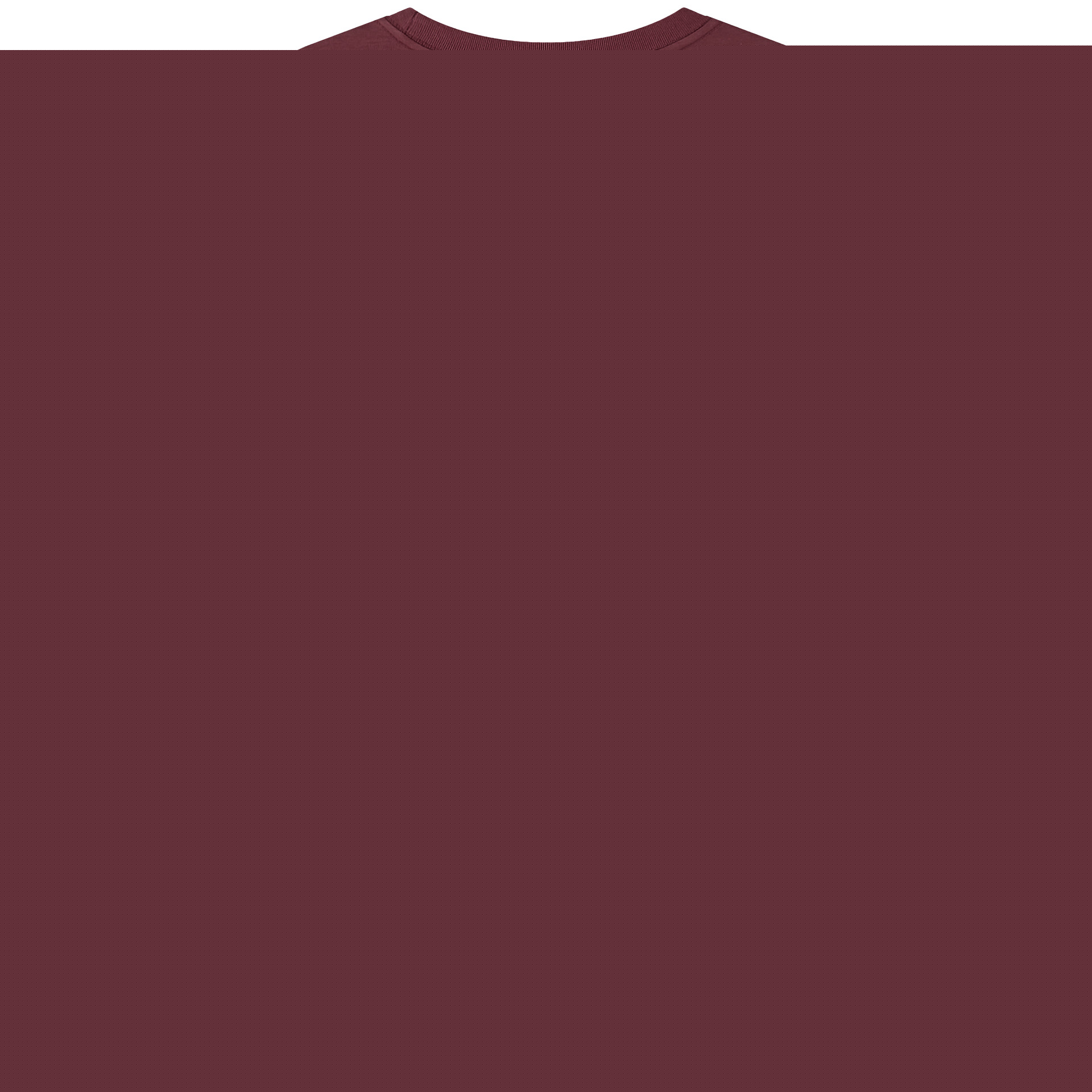 （画像用） スター・ウォーズ Star Wars 綿100％半袖Tシャツ（背面プリント）